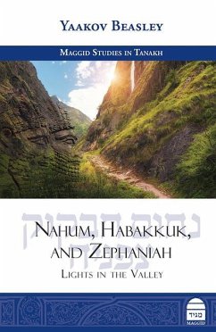 Nahum, Habakkuk, and Zephaniah: Lights in the Valley - Beasley, Yaakov