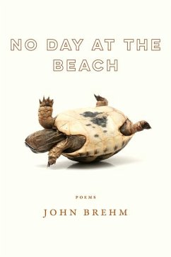 No Day at the Beach - Brehm, John