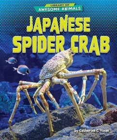 Japanese Spider Crab - Finan, Catherine C.