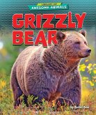 Grizzly Bear