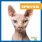 Sphynx