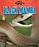 Black Mamba