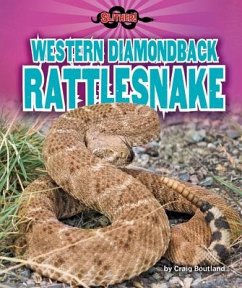 Western Diamondback Rattlesnake - Boutland, Craig