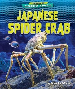 Japanese Spider Crab - Finan, Catherine C