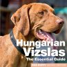 Hungarian Vizslas - Bild 1