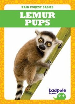 Lemur Pups - Nilsen, Genevieve