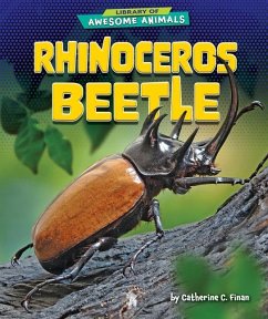 Rhinoceros Beetle - Finan, Catherine C.