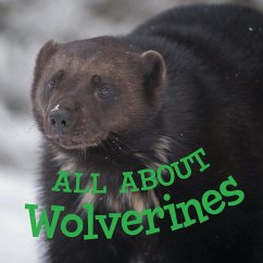 All about Wolverines - Hoffman, Jordan