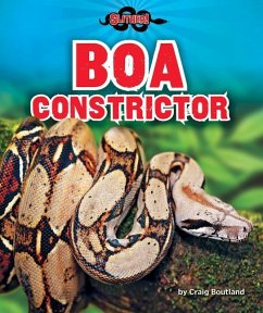 Boa Constrictor - Boutland, Craig