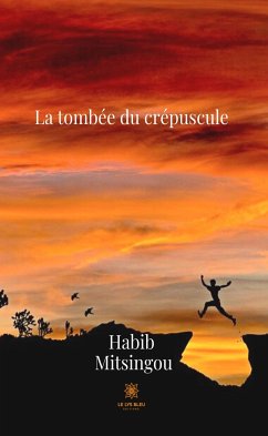 La tombée du crépuscule (eBook, ePUB) - Mitsingou, Habib