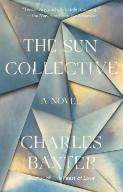 Cover The Sun Collective (eBook, ePUB)
