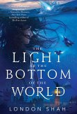 The Light at the Bottom of the World (eBook, ePUB)