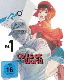 Cells at Work! - Vol. 1