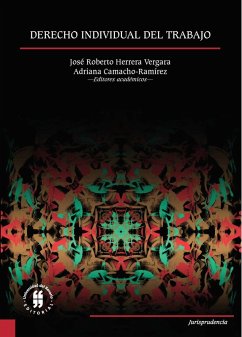 Cover Derecho individual del trabajo (eBook, ePUB)