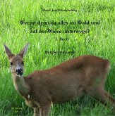 Wer ist denn da alles im Wald und auf der Wiese unterwegs? Wer ist denn da alles im Wald und auf der Wiese unterwegs?