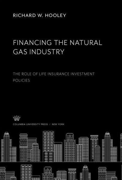 Financing the Natural Gas Industry (eBook, PDF)
