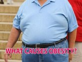 WHAT CAUSES OBESITY? (eBook, ePUB)