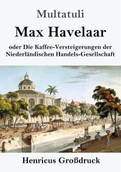 Max Havelaar (Großdruck) - Multatuli