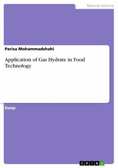 Application of Gas Hydrate in Food Technology (eBook, PDF)
