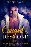 Caught by Desmond - A bbw Billionaire Romance Short Story (Loved by a Billionaire Series, #1) (eBook, ePUB)