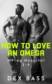 How To Love An Omega (Mpreg Hospital) (eBook, ePUB)