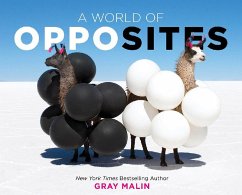 A World of Opposites (eBook, ePUB) - Malin, Gray