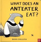 What Does An Anteater Eat?