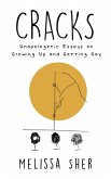Cracks: Unapologetic Essays on Growing Up and Getting Gay (eBook, ePUB)