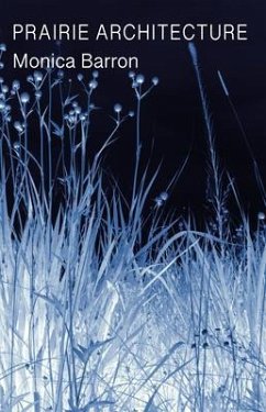 Prairie Architecture (eBook, ePUB) Prairie Architecture (eBook, ePUB)