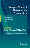 Global Politics and EU Trade Policy (eBook, PDF)