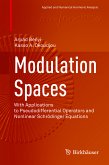 Modulation Spaces (eBook, PDF)