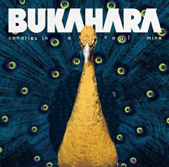 Canaries In A Coal Mine - Bukahara