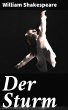 Der Sturm (eBook, ePUB) - Bild 1