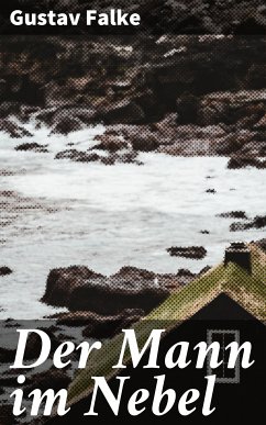 Der Mann im Nebel (eBook, ePUB) - Falke, Gustav