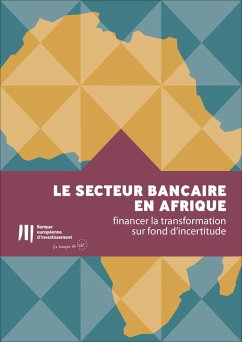 Cover Le secteur bancaire en Afrique: financer la transformation sur fond d'incertitude (eBook, ePUB)