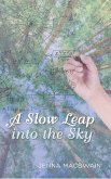 A Slow Leap into the Sky (eBook, ePUB)