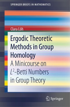 Ergodic Theoretic Methods in Group Homology - Löh, Clara