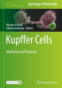 Kupffer Cells