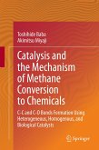 Catalysis and the Mechanism of Methane Conversion to Chemicals