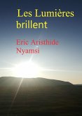 Les Lumieres brillent (eBook, ePUB)