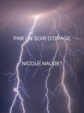 Par un soir d'orage (eBook, ePUB)