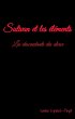 Sulivan et les elements (eBook, ePUB) - Bild 1