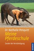 Meine Pferdeschule (eBook, PDF)
