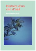 Histoire d'un clin d'oeil (eBook, ePUB)
