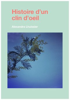 Histoire d'un clin d'oeil (eBook, ePUB) - Alexandra Lhuissier, Lhuissier