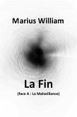 La Fin (eBook, ePUB)