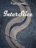 InterStice (eBook, ePUB)