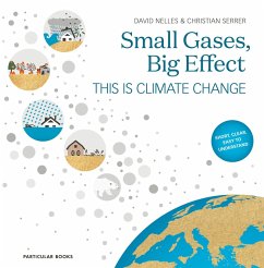 Small Gases, Big Effect (eBook, ePUB) - Nelles, David; Serrer, Christian