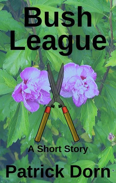 Bush League (eBook, ePUB)