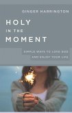Holy in the Moment (eBook, ePUB)